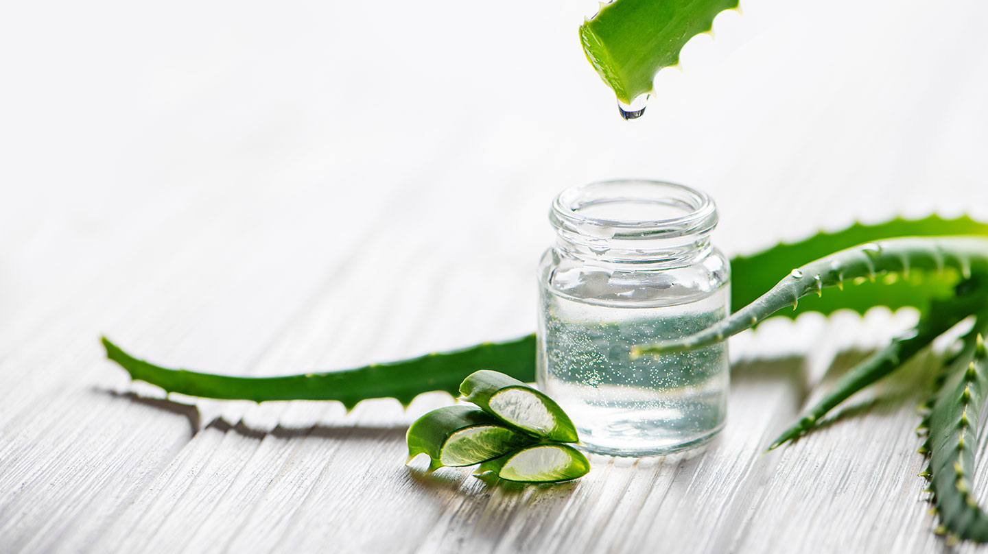 Aloe Vera Frische aus der Wüste