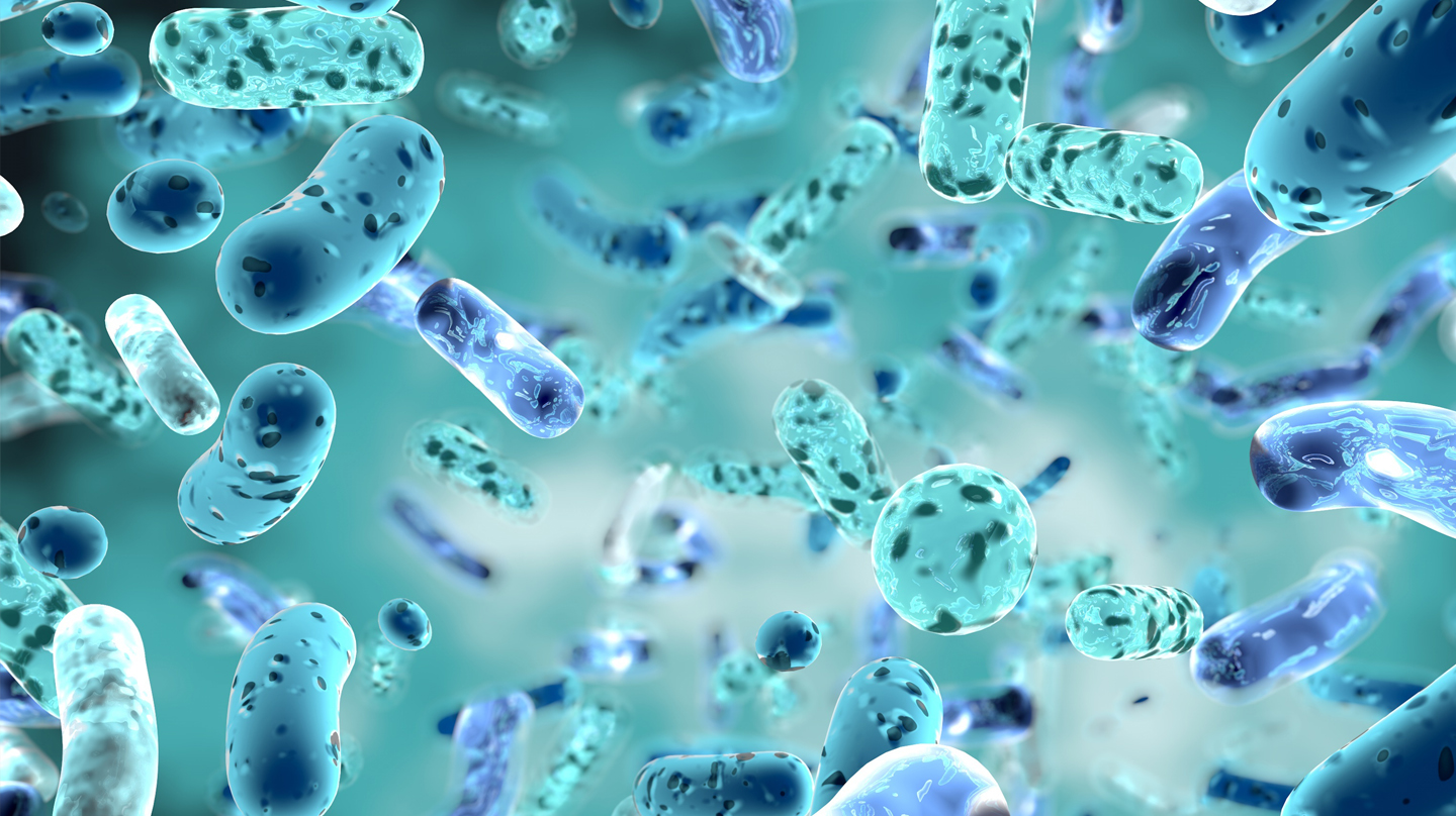 Darmflora: Illustration von kugel- und stäbchenförmigen Bakterien in blau-grünen Tönen.